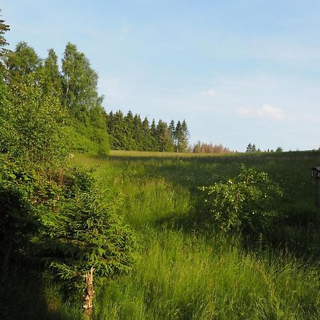 Ferienwohnung Am Kunstberg 29 Altenau  Bagian luar foto