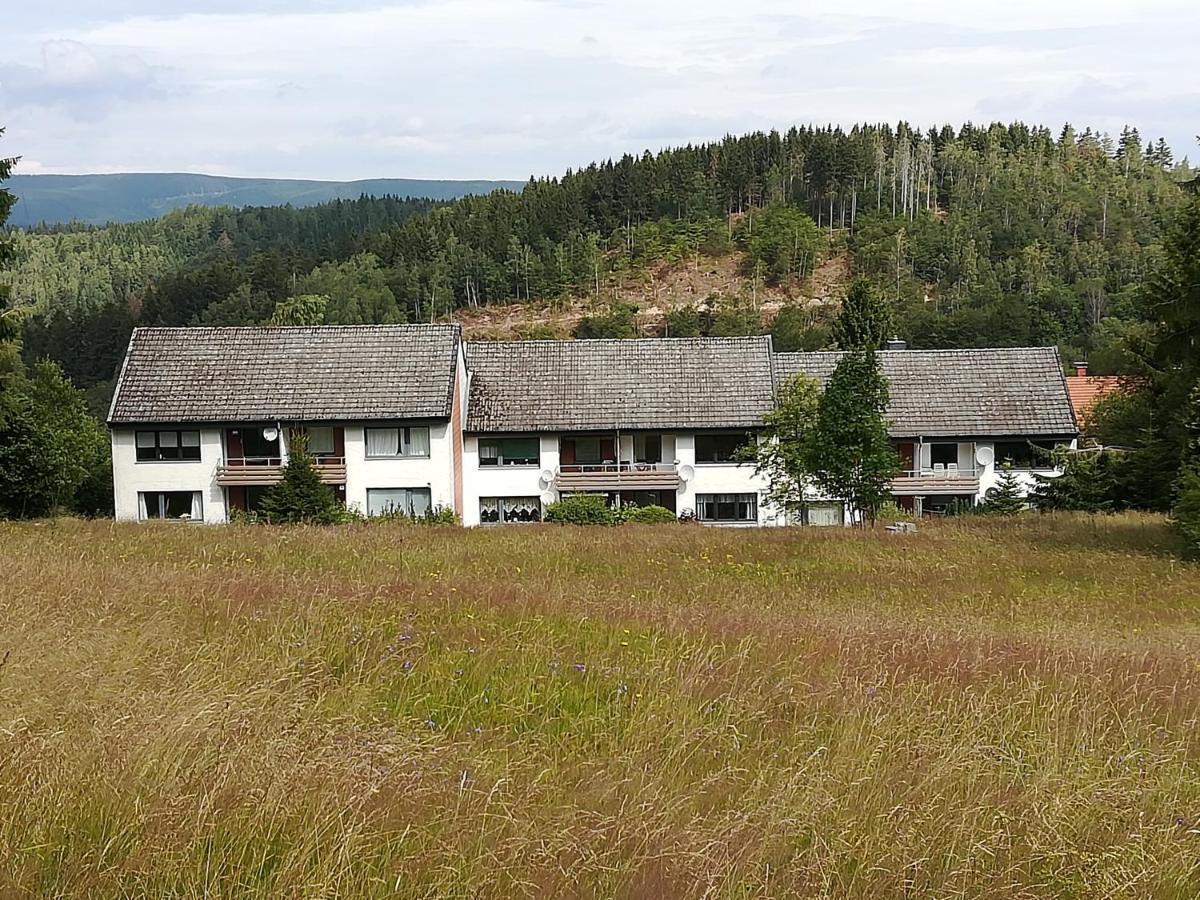 Ferienwohnung Am Kunstberg 29 Altenau  Bagian luar foto